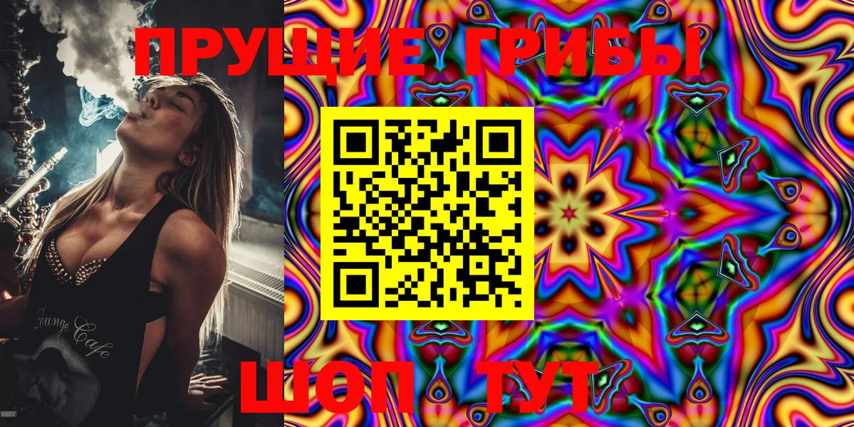 Псилоцибиновые грибы MAGIC MUSHROOMS  где можно купить   Вход с VPN  Серов  Галлюциногенные грибы Cubensis 